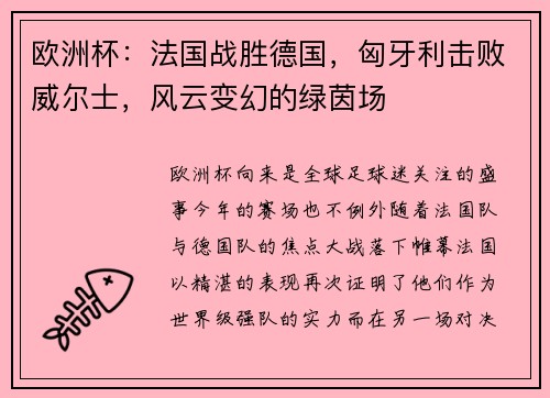 欧洲杯：法国战胜德国，匈牙利击败威尔士，风云变幻的绿茵场